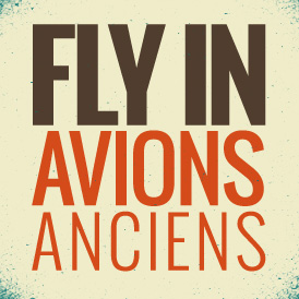 FLY-IN d'avions anciens